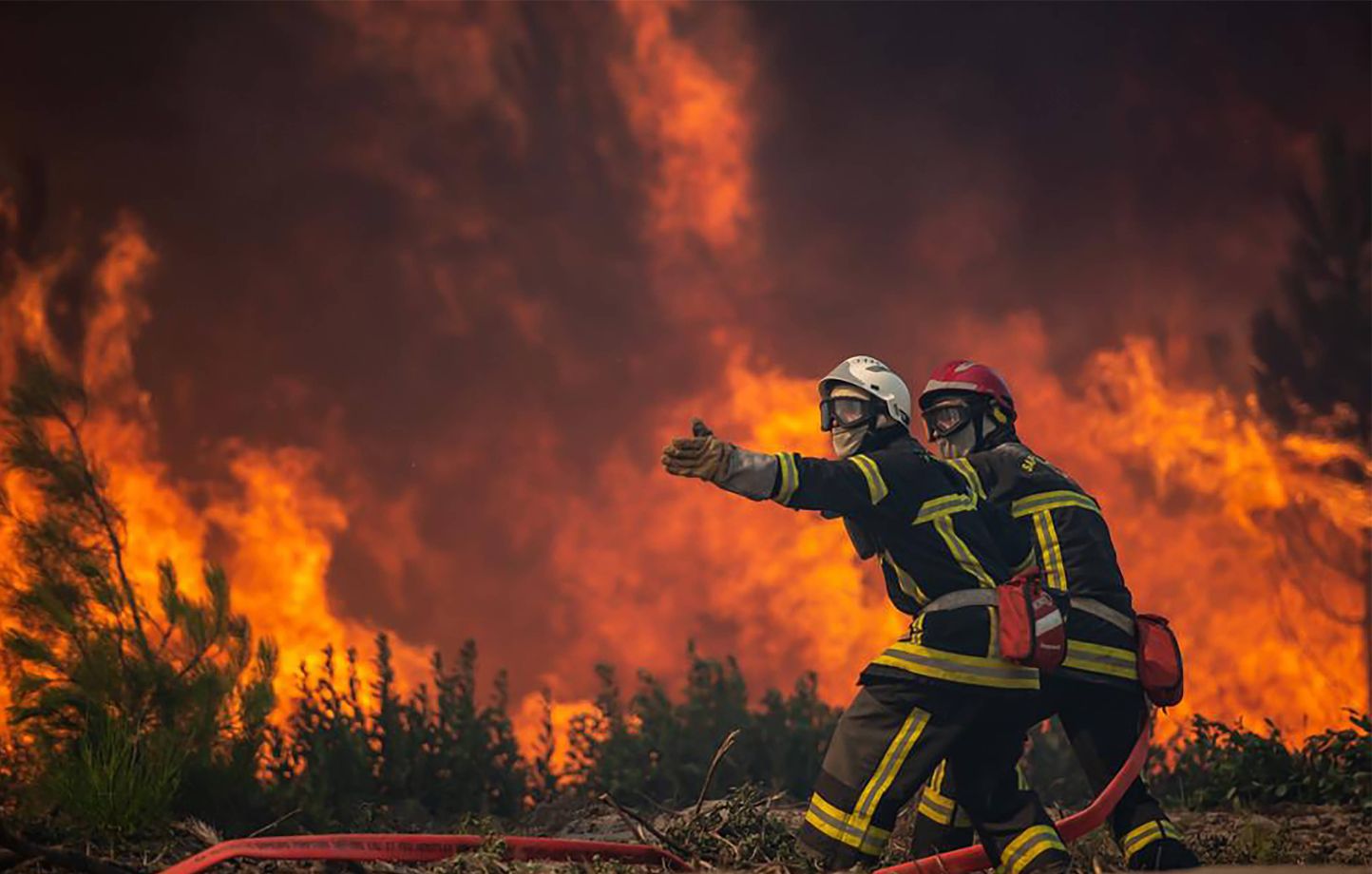 Fascinación por el fuego, excitación sexual, acto catártico… ¿Quiénes son los pirómanos? Fascinación por el fuego, excitación sexual, acto catártico… ¿Quiénes son los pirómanos?